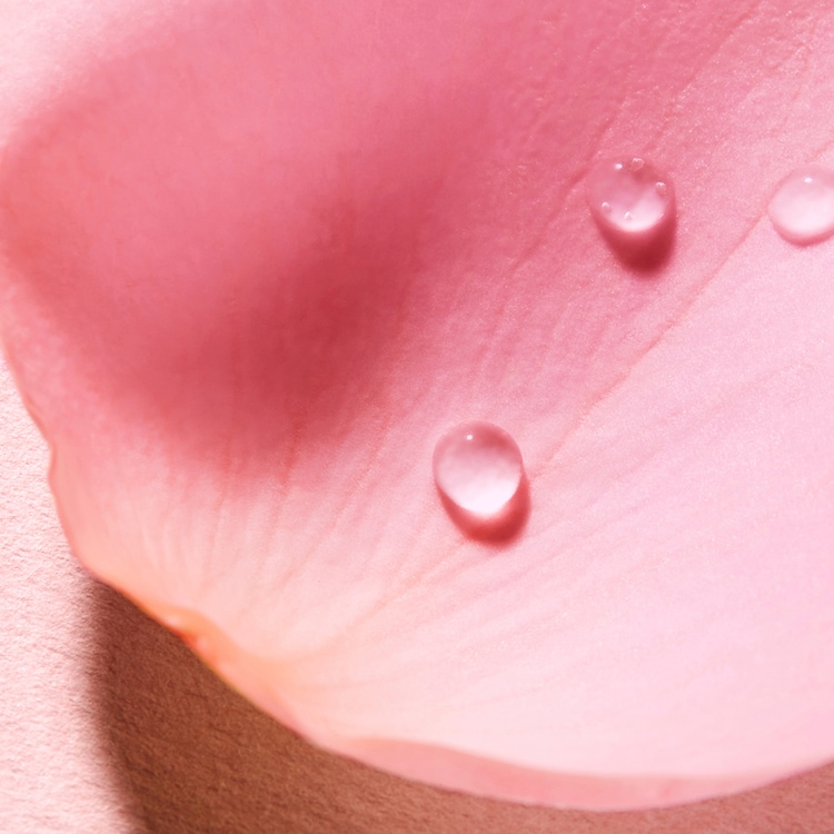 Very Rose - Eau Voluptueuse Parfumante