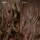 No.5 Bond Maintenance® - Balsamo