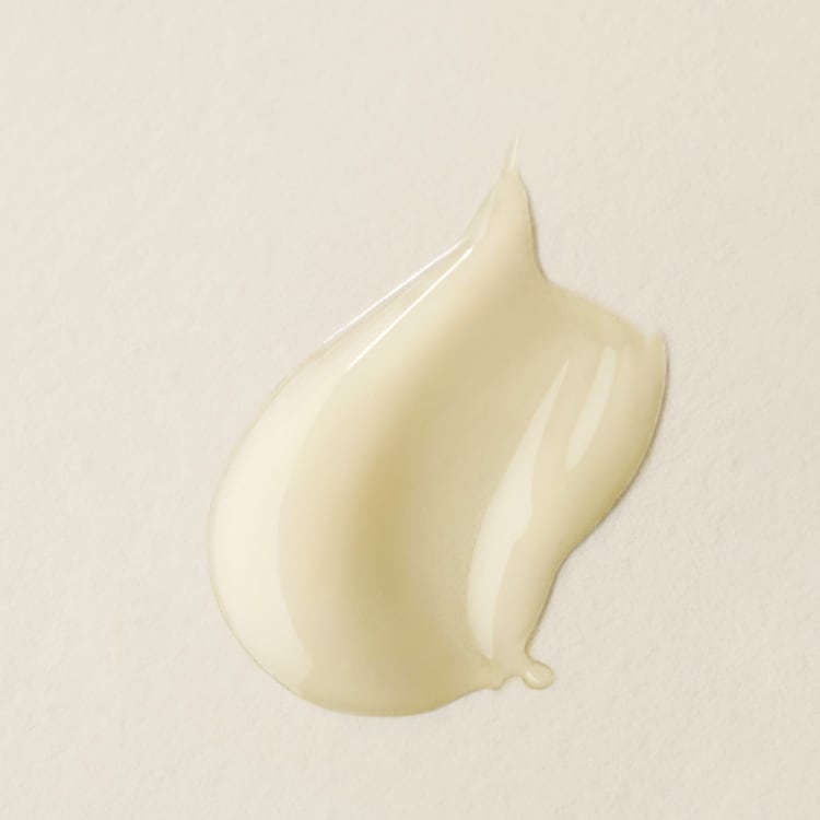Plantscription™ - Kırışıklık Karşıtı Serum
