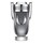 Invictus platinum - Eau de parfum