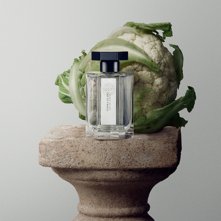 Tonka Blanc - Eau de Cologne