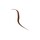Perma Precision - Liquid Eyeliner