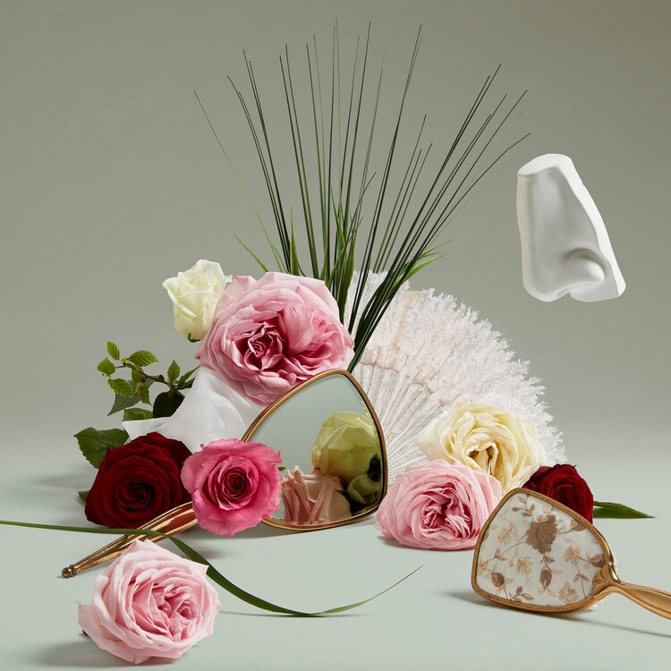 Elisabethan Rose - Eau de Parfum