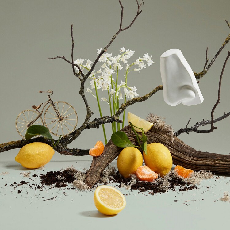 Quercus - Eau de Cologne
