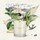 Ceylon Pekoe - Bougie