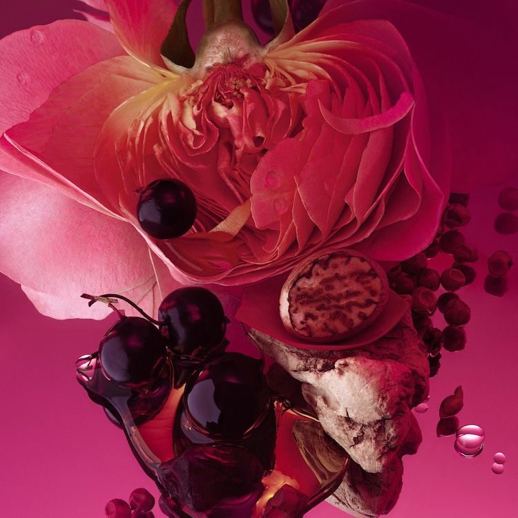 Rose Whip - Eau de Parfum format voyage