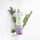 Retinol Tonic