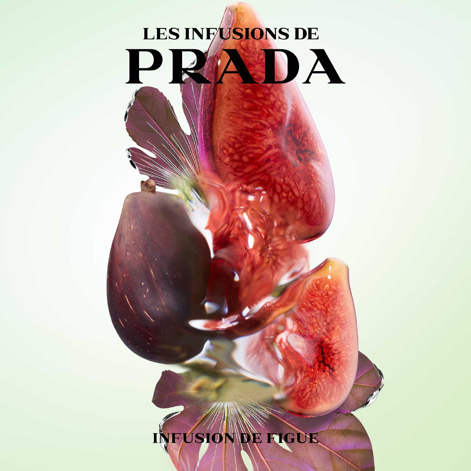 Infusion de Figue - Eau de Parfum | PRADA ≡ SEPHORA