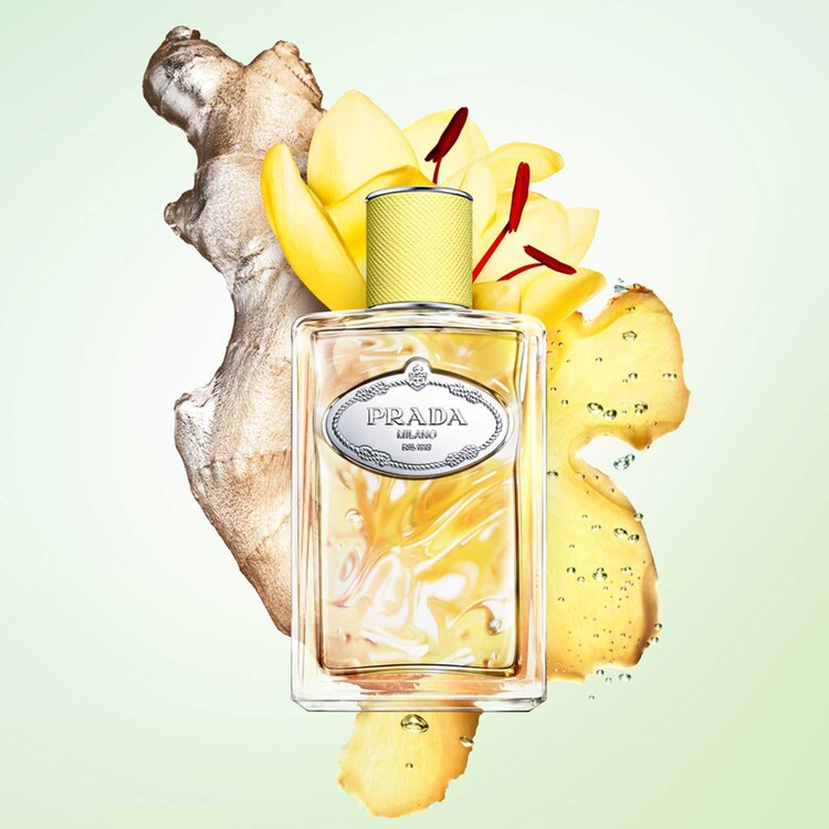 Infusion de Gingembre - Eau de Parfum