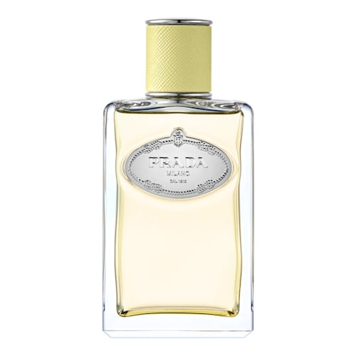 PRADA - Infusion de Gingembre
