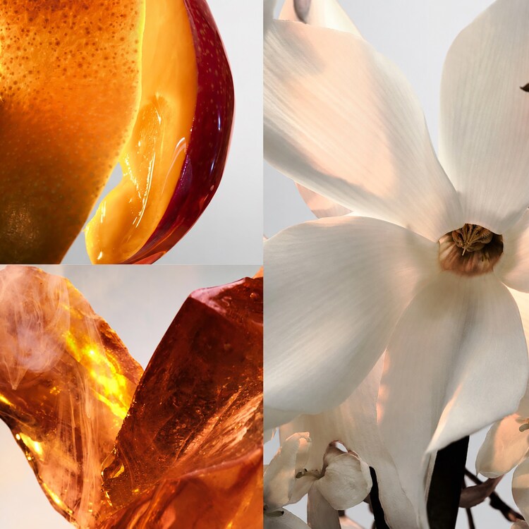 Fame Winter collector - Eau De Parfum