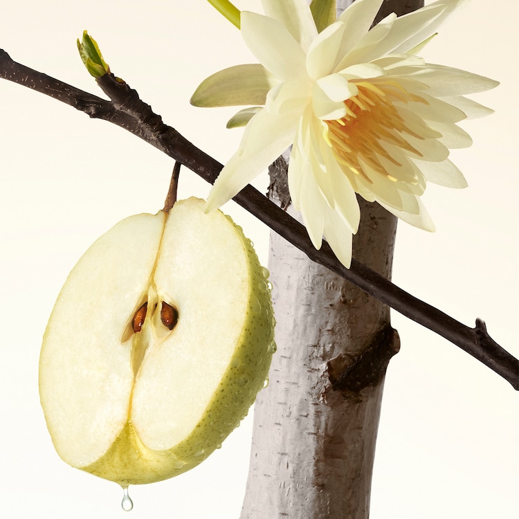 Rare Beginnings Layering Balm Fruity Pear - Parfum-Balsam