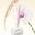 Rare Beginnings Layering Balm Sweet Marshmallow - Parfum-Balsam