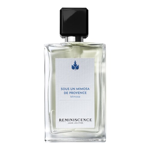 REMINISCENCE - SOUS UN MIMOSA DE PROVENCE