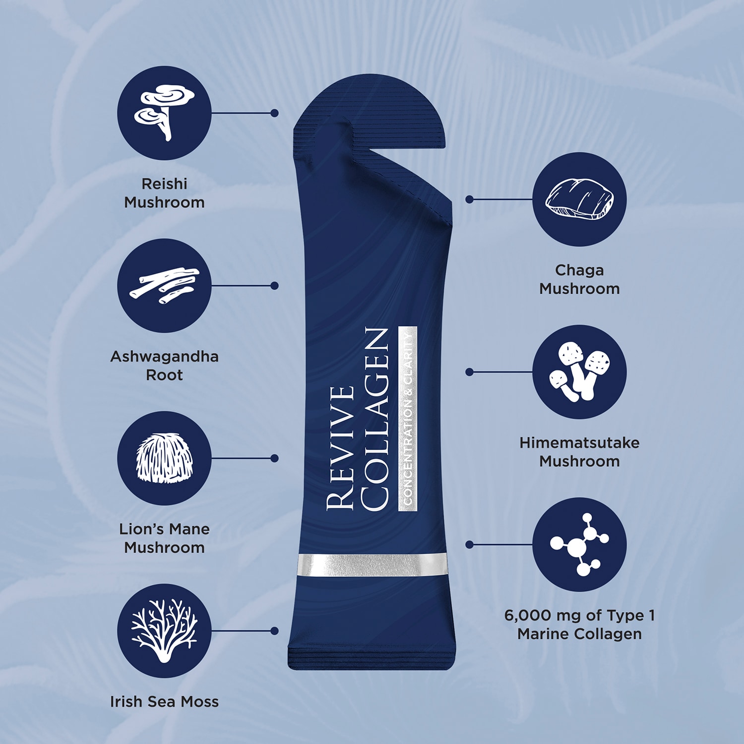 Concentration & Clarity Functional Mushroom and Adaptogen Blend