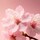 The Ritual of Sakura Shimmering Body Spray - Třpytivý sprej na tělo