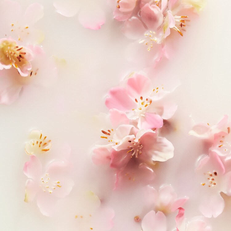 The Ritual of Sakura - S Banyo ve Vücut Hediye Kutusu