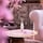 The Ritual of Sakura Mini Fragrance Sticks - Bastoncini Profumati