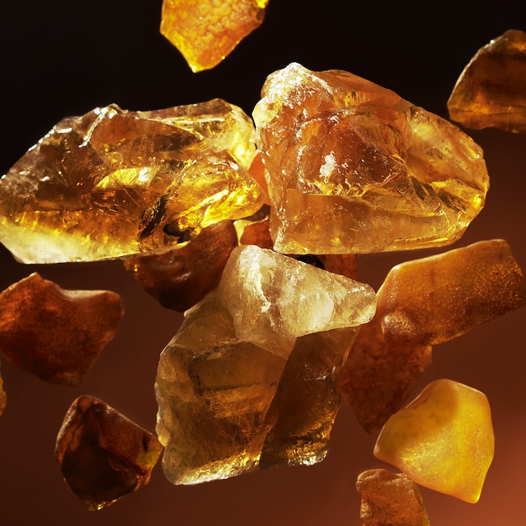 Precious Amber Home Private Collection - Coffret Casa