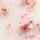 The Ritual of Sakura - Coffret L Tratamento