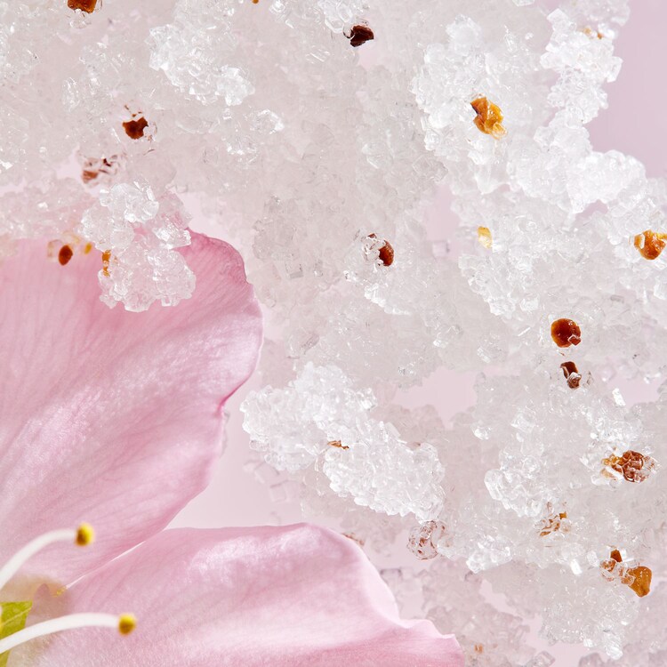 The Ritual of Sakura - Gommage pour le corps