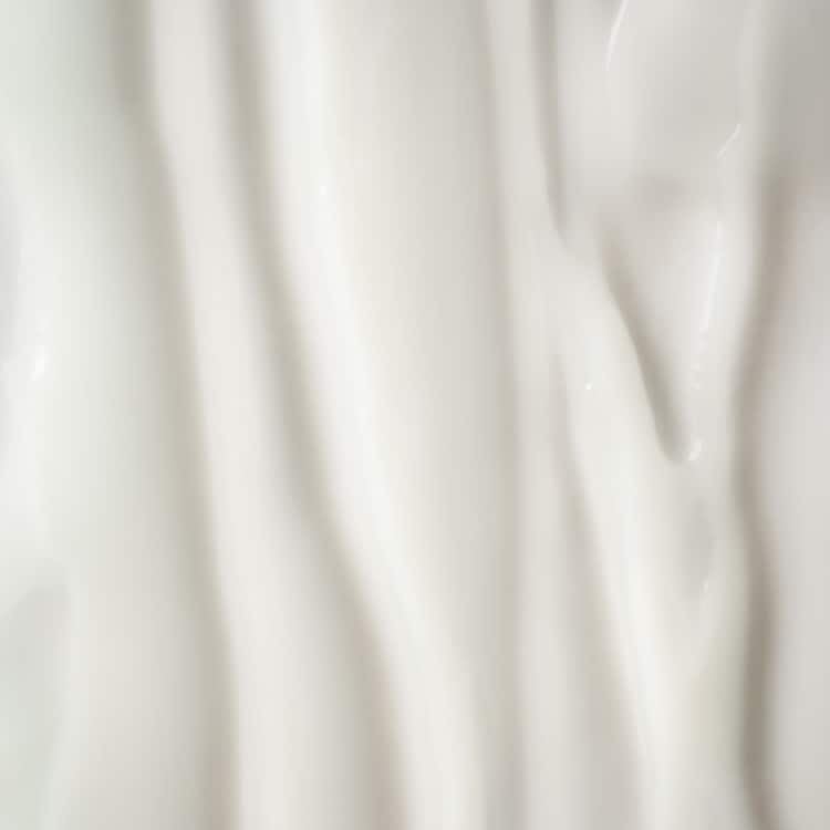 The light cream - Moisturizing face cream