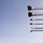5-Piece Face & Eye Brush Set - Pinselset