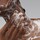 Clarifying face & body cleanser - Face + body cleanser