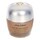 Future Solution - Total Radiance Foundation
