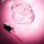 Concentré à la Rose Noire - Sérum Rosto