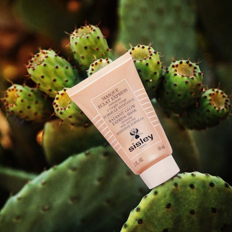 Masque Eclat Express - Máscara de limpeza