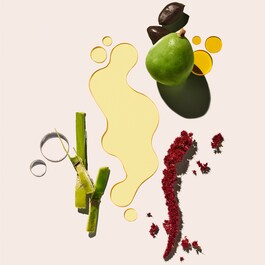Beija Flor&trade; Elasti-Body Oil - Ulje za tijelo koje vraća punoću koži