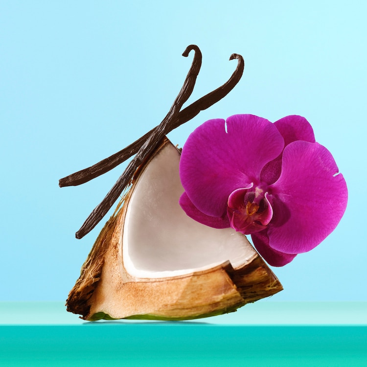 Sol-Ful Hydration to - Conjunto de Loção Corporal Nutritiva e Bruma Perfumada