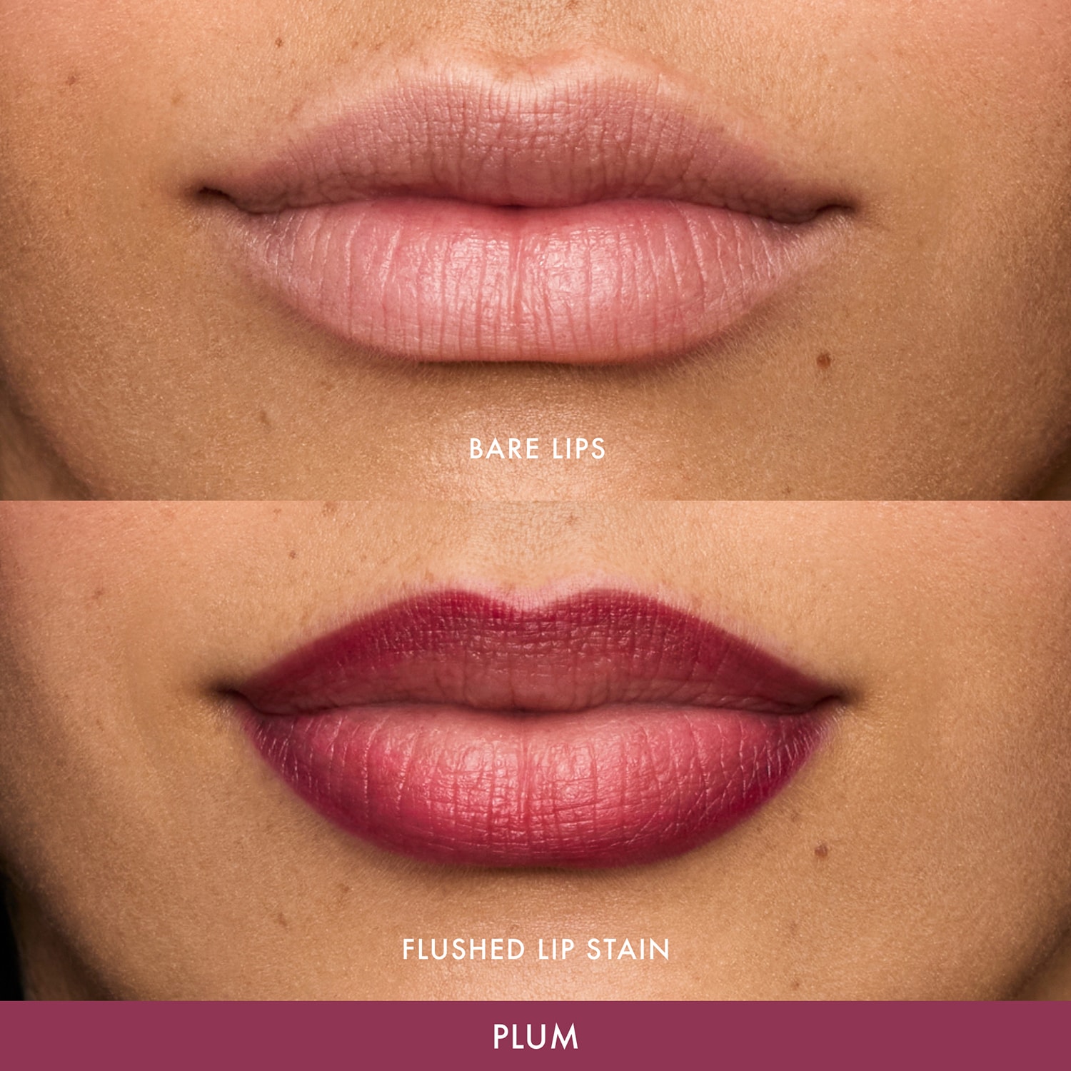 Flushed Lip Stain  - Transfer Proof Lip Stain