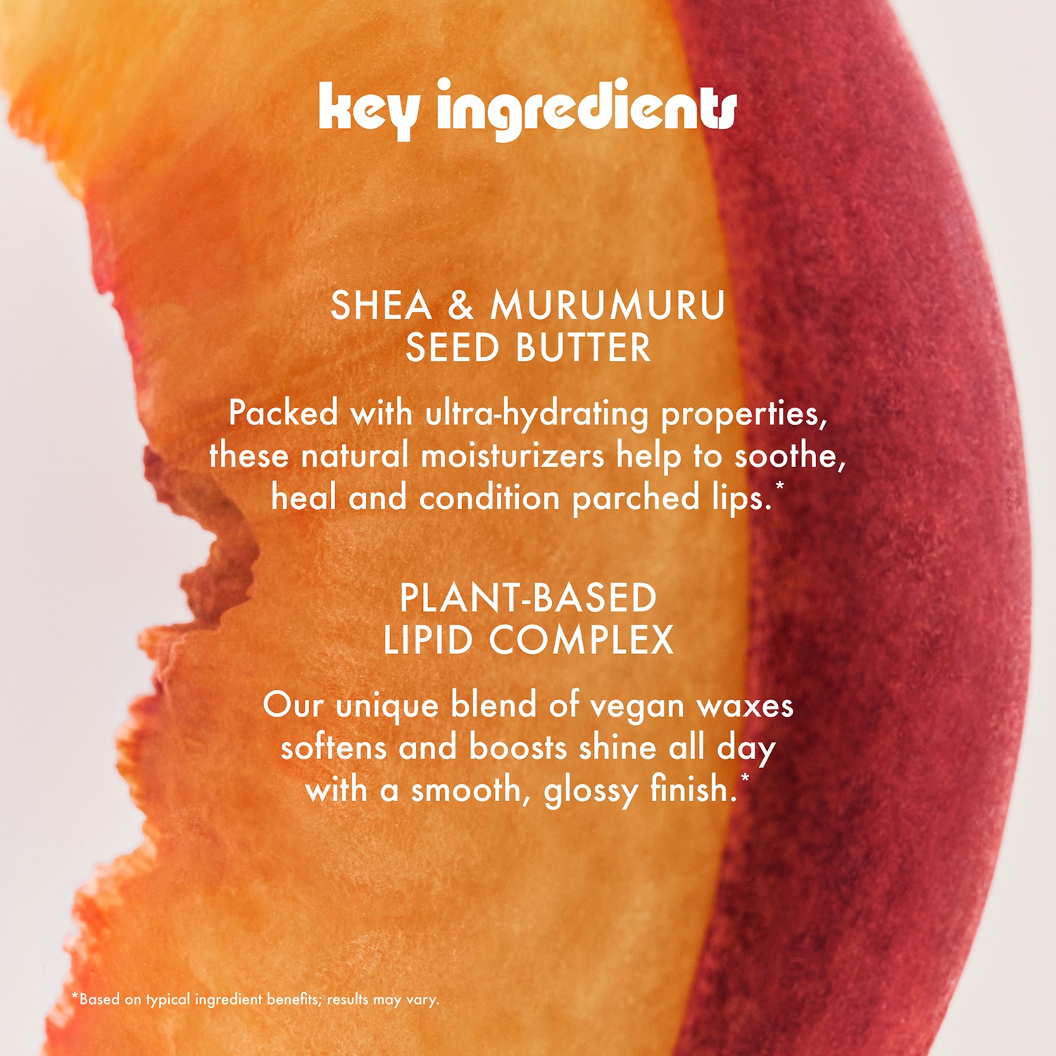 The Sweet Summer Minis Set -  Lip Butter Balm Set in Limited Edition