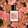 Amber Vanilla - Eau De Parfum