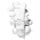 Glucoside Foaming Cleanser