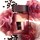 Conjunto - Café Rose EDP 