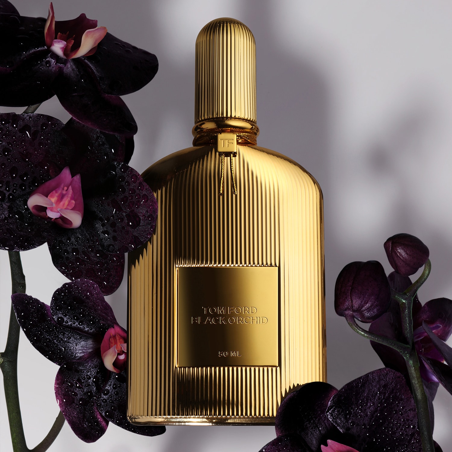 Black Orchid - Parfum | Tom Ford ≡ SEPHORA