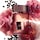 Café Rose - Eau de Parfum
