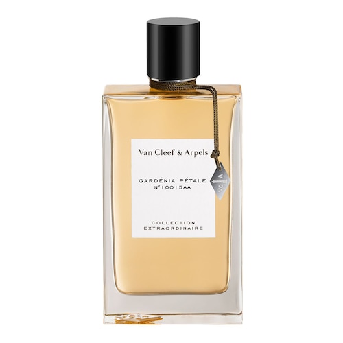 Découvrir le produit
