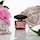 Crystal Noir - Coffret Eau de Parfum