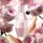 Flowerbomb Dew Floral Musk - Parfémová voda