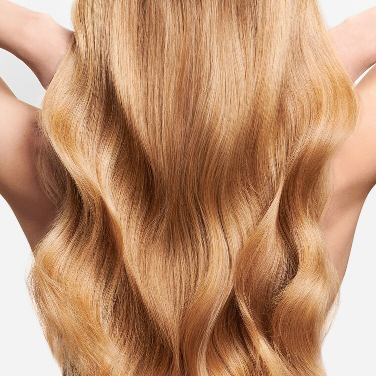 Oil Reflections - Oil Reflections Luminous Reveal Shampoo