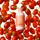Nutri Enrich - Nourishing shampoo for dry or damaged hair