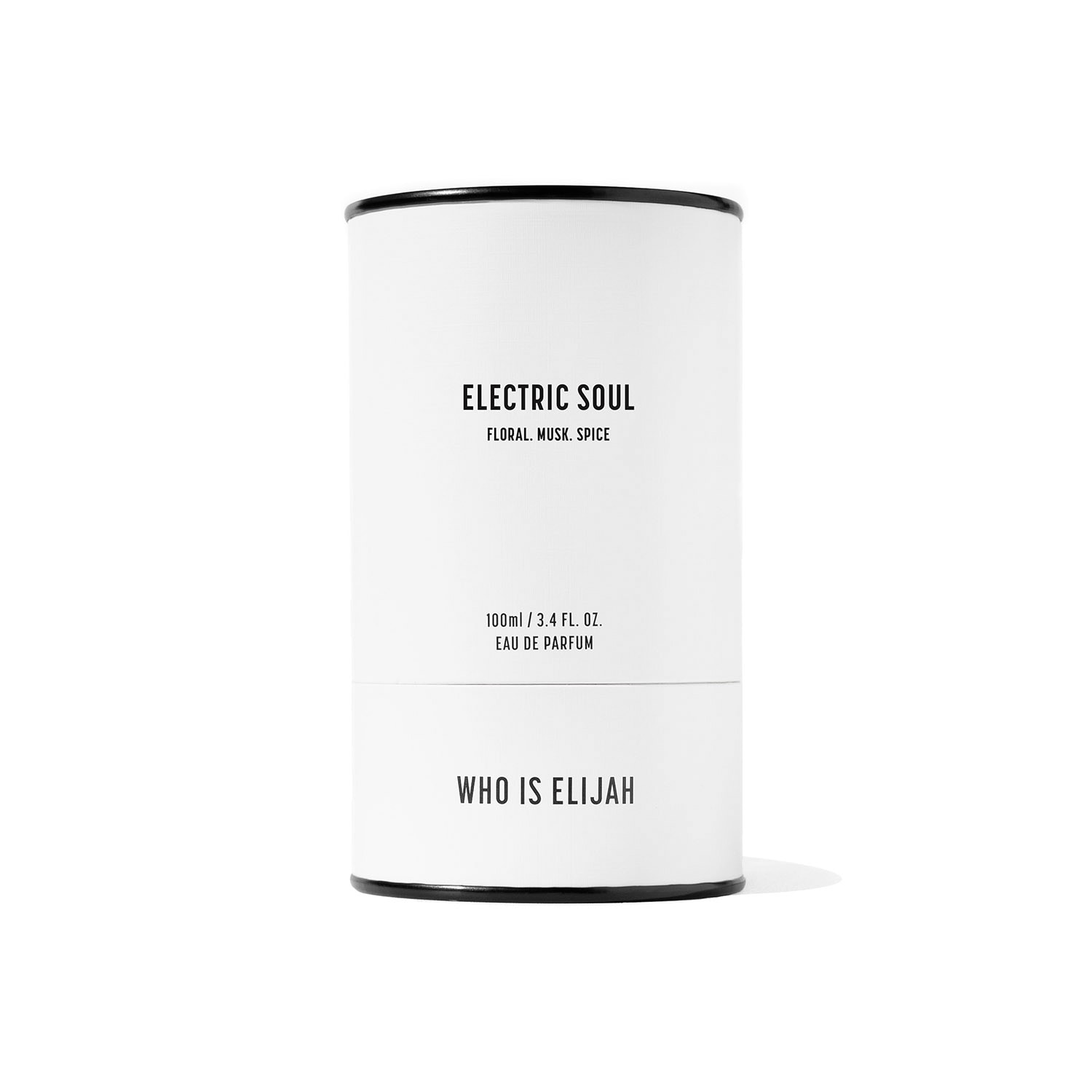 ELECTRIC SOUL