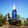 Triple Peptide + Cactus Oasis Serum - Sérum Hidratante