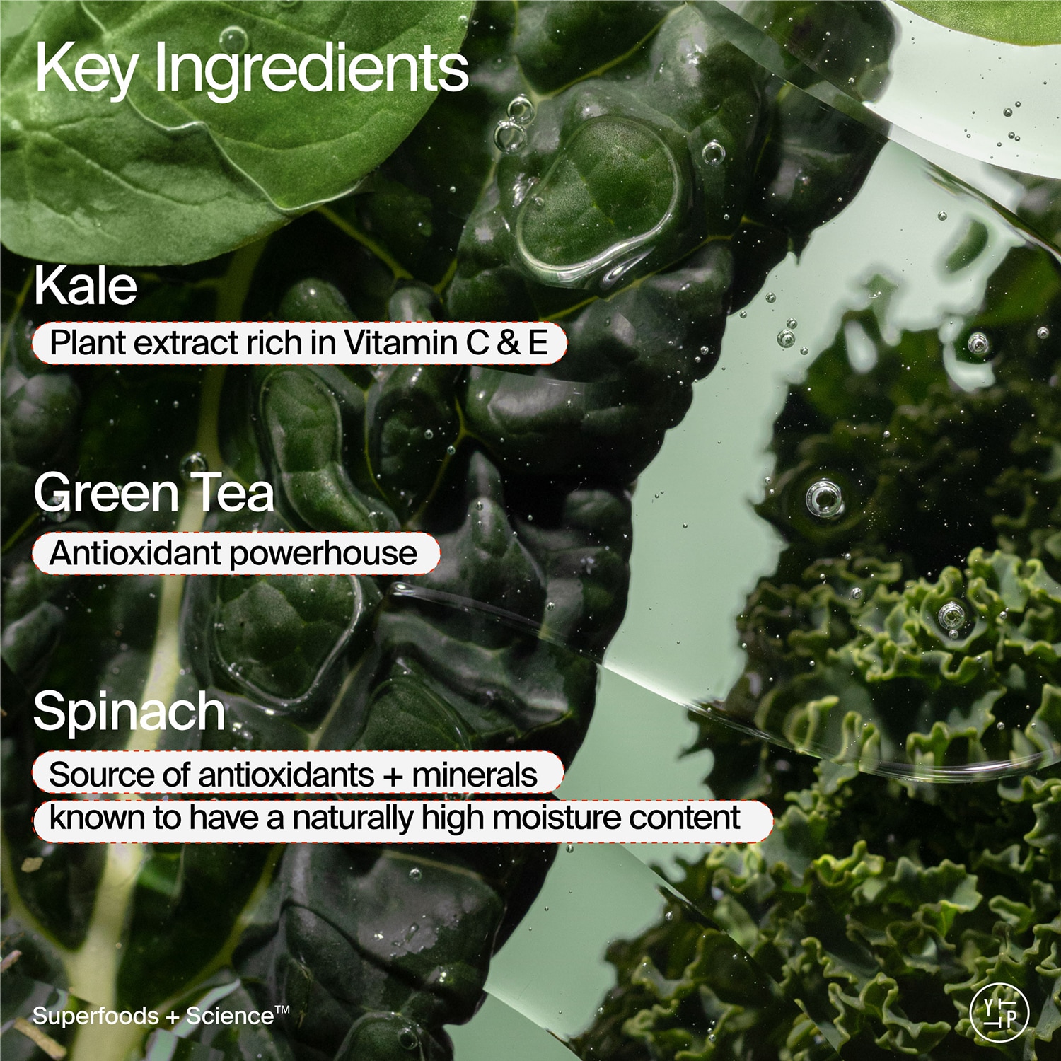 Superfood Cleanser