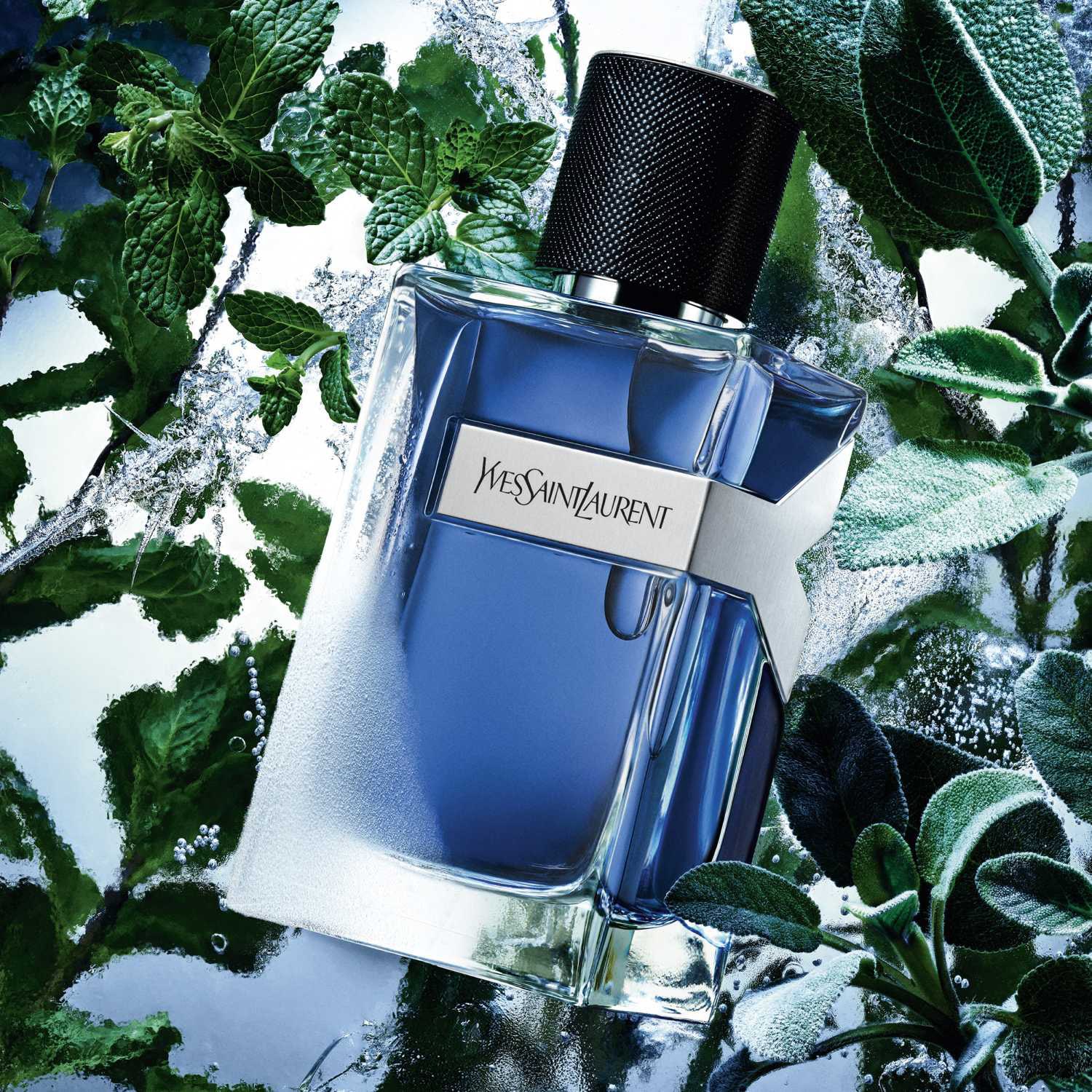 Y Iced Cologne - Eau de Toilette Intense | YVES SAINT LAURENT