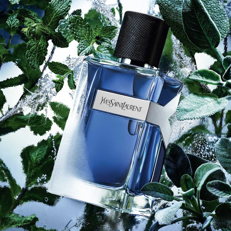 Y - Eau de Toilette Intense fougère aromatique pour homme 